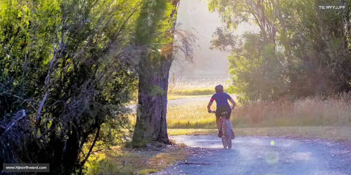 南宫NG28🏃♂️运动不止，热爱不息 —— 你的体育主场，等你点燃！